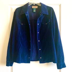 EXPRESS | Classic Cotton Button Down Long Sleeve Shirt | Size: L | Color: Blue